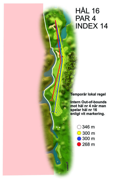Hal 16 med intern out of bounds